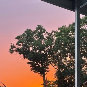 Meet your Posher, Ella